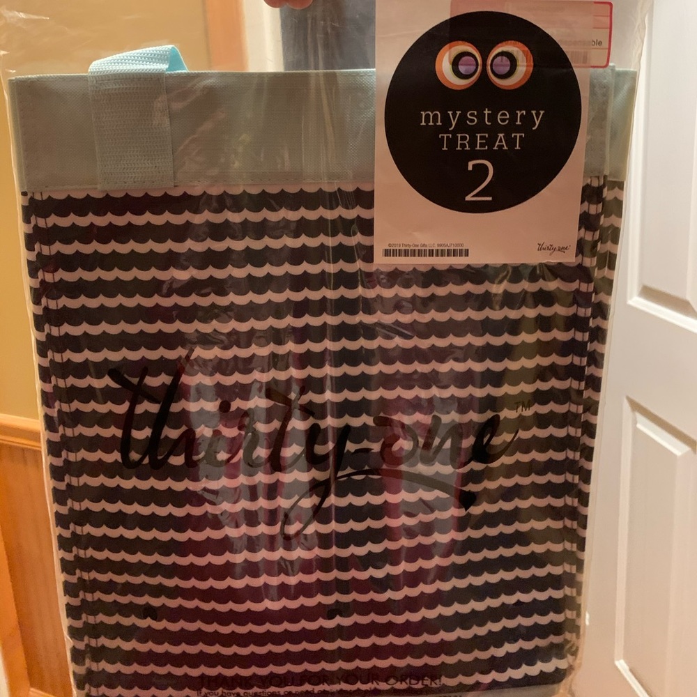 Thirty one bag essential storage tote